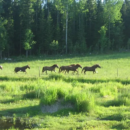 Luomajaerven Hevoskievari Feriegård *